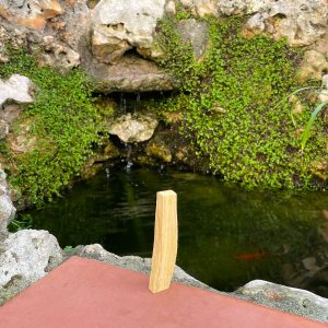 Palo Santo
